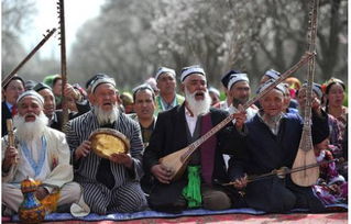 今天的主角是誰 新疆的世界文化和自然遺產(chǎn)